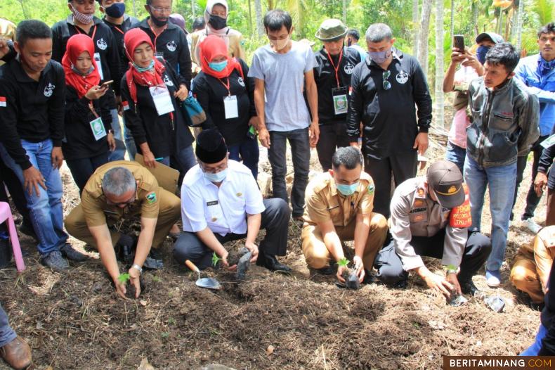 Bupati Solok H. Gusmal SE MM tanam bibit  Katak Porang di Jorong Bawah Duku Nagari Kotobaru, Kecamatan Kubung bersama petani.