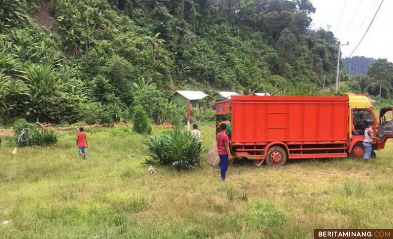 Petugas dari CV. Parit Sentosa sedang mendistribusikan Ribuan Bibit Sawit dan Coklat Untuk Transmigrans Padang Tarok Sijunjung. Foto: Humas Disnakertrans Sumbar