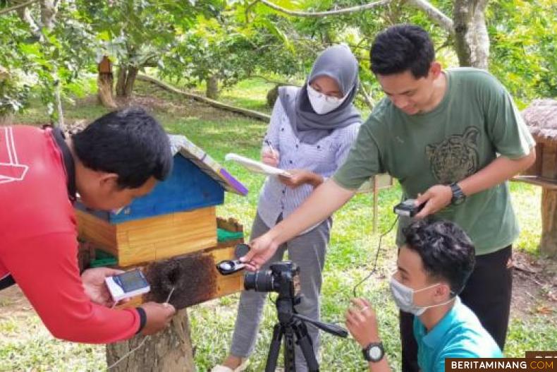 Hery Setiawan didampingi tiga mahasiswa UNRI Pekanbaru saat melakukan penelitian lebah madu galo-galo di Taman Buah Kandi, Minggu,( 21/3/21). Foto: Iyos