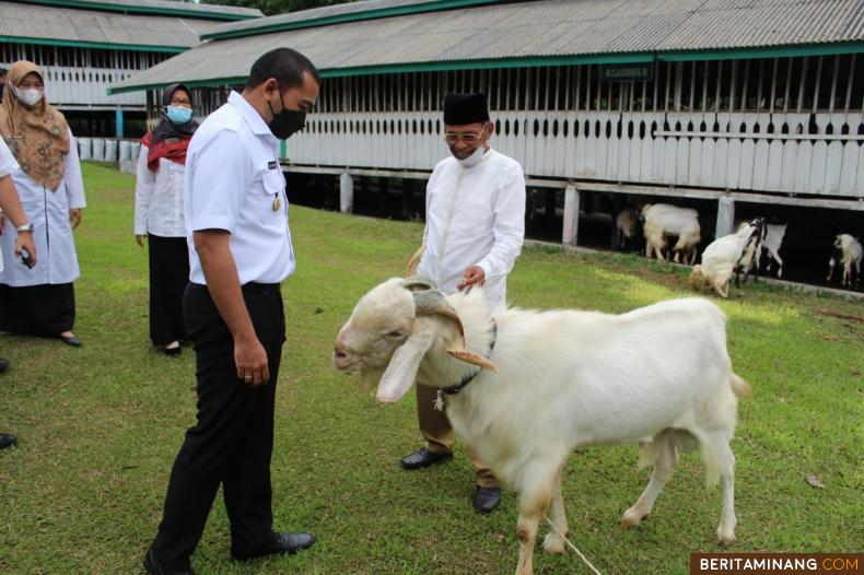 Wagub Sumbar Audy Joinaldy saat meninjau Agro Wisata Boncah Farm Kambing Etawa di Nagari Barulak, Tanah Datar.